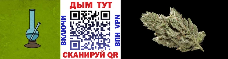 сколько стоит  Гаврилов-Ям  Марихуана планчик 